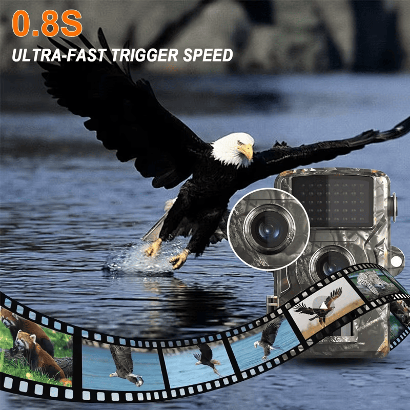 Wildlife Trail Camera With Night Vision